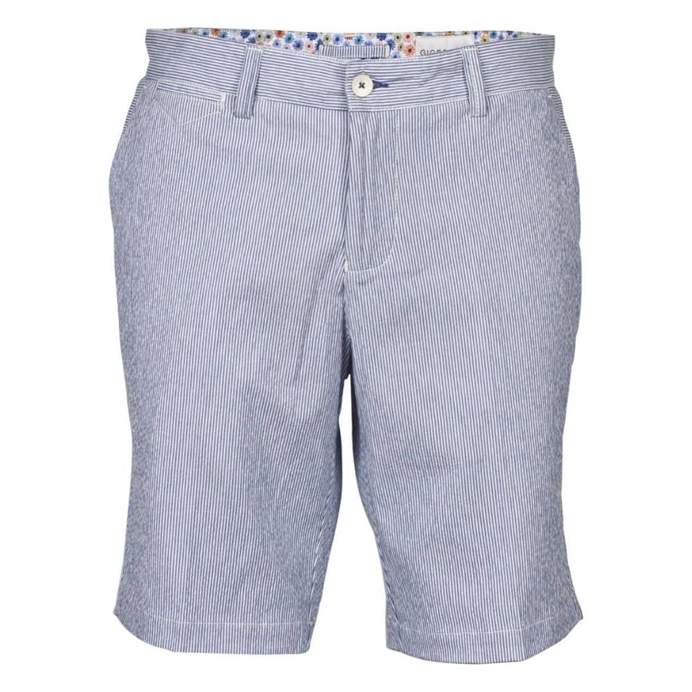 Giordano Regular Fit Blue striped Shorts