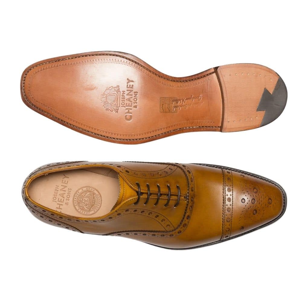 joseph cheany and sons