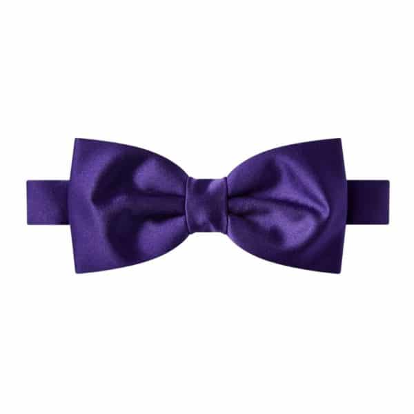 Purple pre tied Bow tie