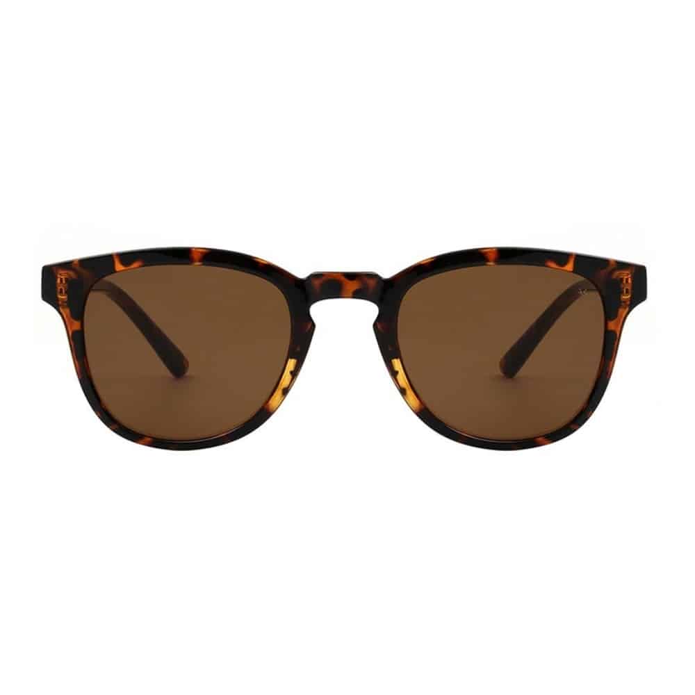 Warwicks Bate Demi Brown Tortoise Sunglasses
