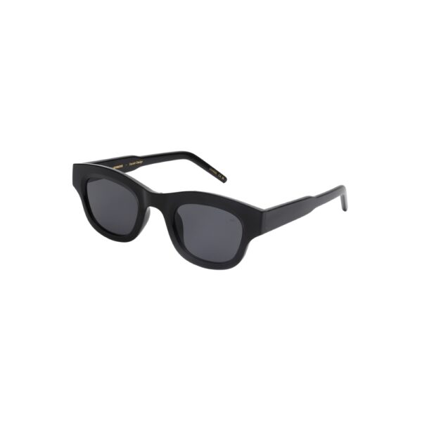 Warwicks Lane Black Sunglasses 2