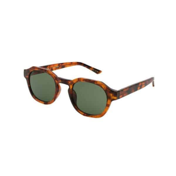 Warwicks Zan Havana Sunglasses 2