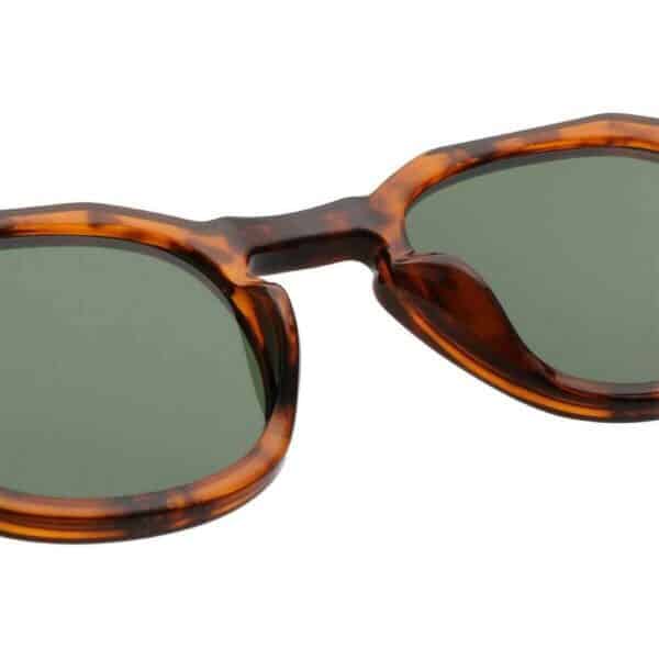 Warwicks Zan Havana Sunglasses 3