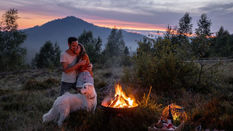 Valentines Day Date Ideas to Reignite the Fire 2