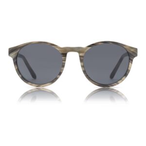WARWICKS Marvin Striped Horn Transparent Sunglasses