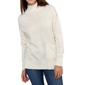 Alison sheri plain turtleneck sweater